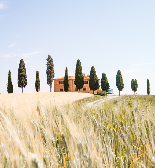 Idyllic Tuscan landscape with cypress trees and a rustic farmhouse, ideal for camping trips.