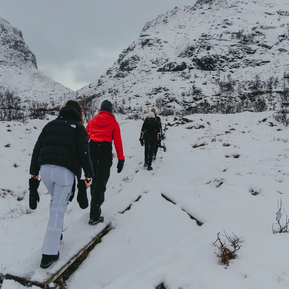 4 personer vandrar i ett snölandskap
